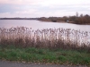 blick-auf-einfelder-see