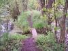 bruecke-wanderweg