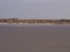 duenenlandschaft