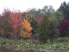 herbstlandschaft