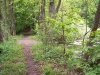 waldspaziergang