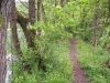 weg-am-wasser